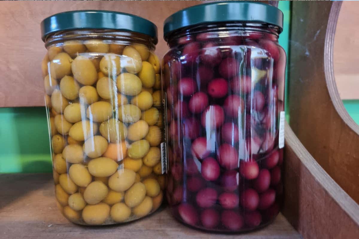 Via Francigena nel Lazio: un viaggio lento tra borghi, laghi,  mare e sapori veri